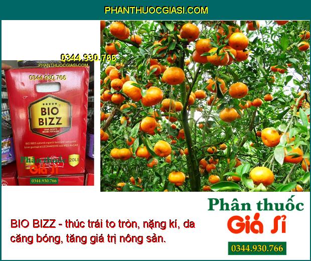 BIO BIZZ - Kích Rễ - Bung Đọt Mạnh - Trái To Tròn - Nặng Ký - Giải Độc Phèn - Nâng pH Đất