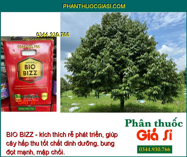 BIO BIZZ - Kích Rễ - Bung Đọt Mạnh - Trái To Tròn - Nặng Ký - Giải Độc Phèn - Nâng pH Đất