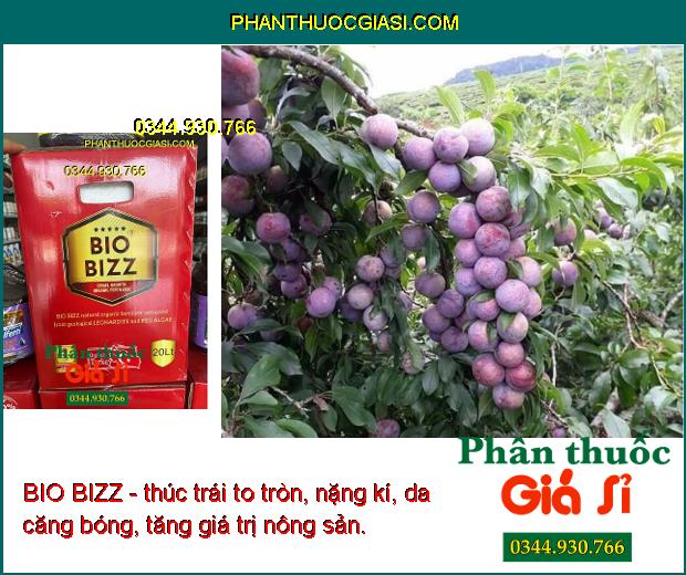 BIO BIZZ - Kích Rễ - Bung Đọt Mạnh - Trái To Tròn - Nặng Ký - Giải Độc Phèn - Nâng pH Đất