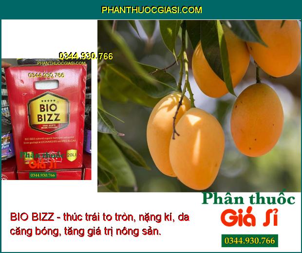 BIO BIZZ - Kích Rễ - Bung Đọt Mạnh - Trái To Tròn - Nặng Ký - Giải Độc Phèn - Nâng pH Đất