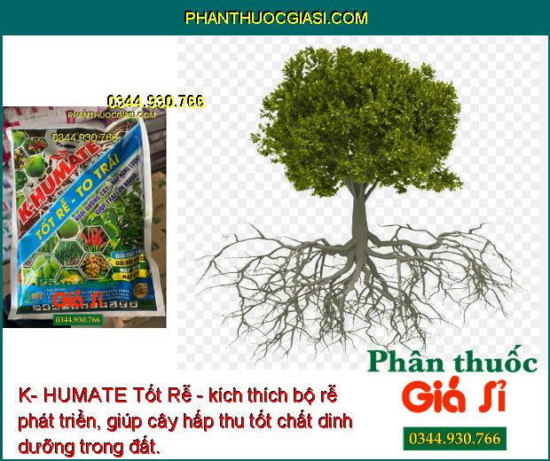 K- HUMATE Tốt Rễ - Rễ Phát Triển - Ra Bông Đều - Trái Đẹp - Cân Bằng pH