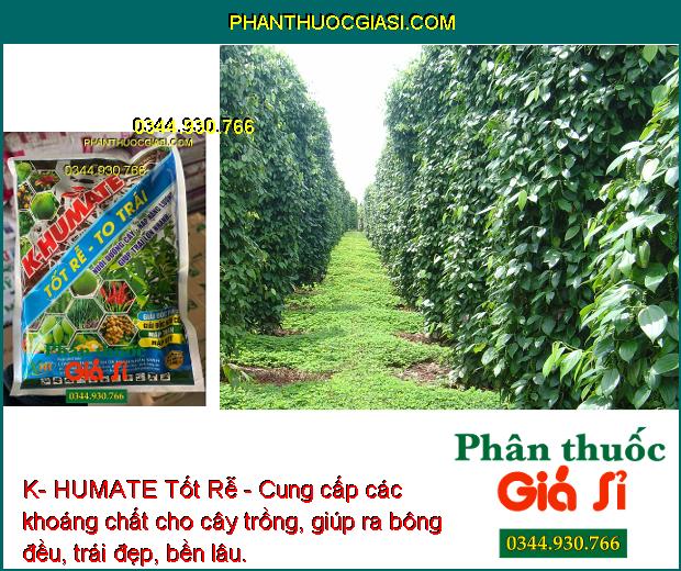 K- HUMATE Tốt Rễ - Rễ Phát Triển - Ra Bông Đều - Trái Đẹp - Cân Bằng pH