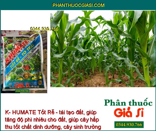 K- HUMATE Tốt Rễ - Rễ Phát Triển - Ra Bông Đều - Trái Đẹp - Cân Bằng pH