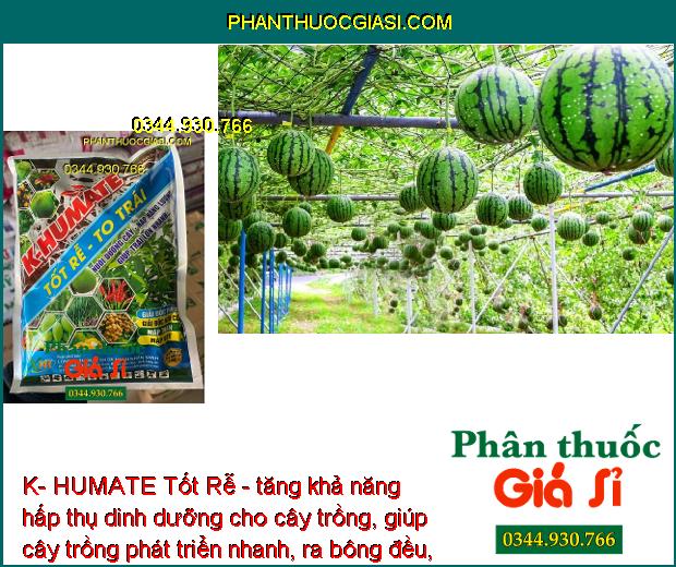 K- HUMATE Tốt Rễ - Rễ Phát Triển - Ra Bông Đều - Trái Đẹp - Cân Bằng pH