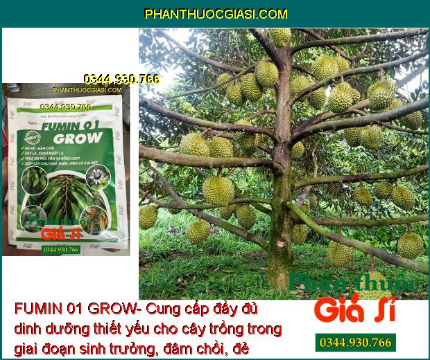 FUMIN 01 GROW- Ra Rễ - Đâm Chồi - Thúc Ra Hoa Sớm - Ra Hoa Đồng Loạt - Tăng Trưởng