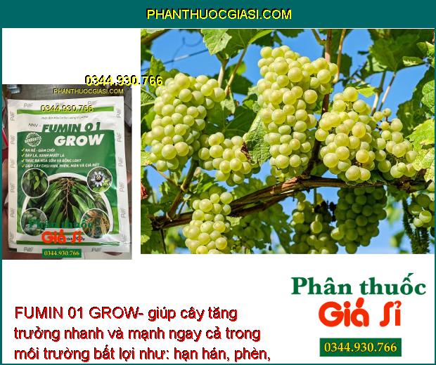 FUMIN 01 GROW- Ra Rễ - Đâm Chồi - Thúc Ra Hoa Sớm - Ra Hoa Đồng Loạt - Tăng Trưởng