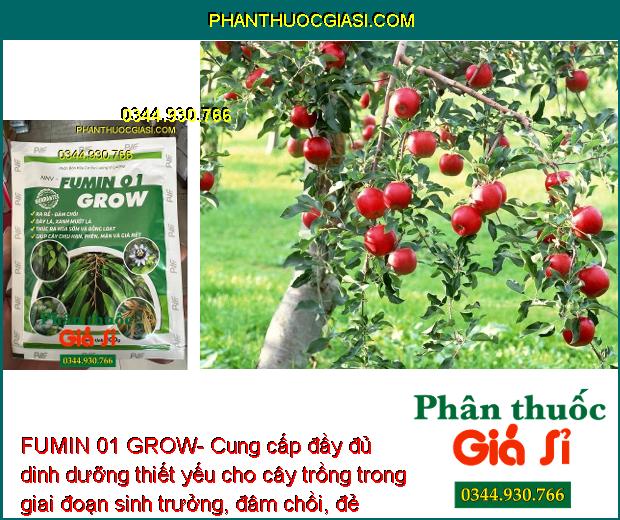 FUMIN 01 GROW- Ra Rễ - Đâm Chồi - Thúc Ra Hoa Sớm - Ra Hoa Đồng Loạt - Tăng Trưởng