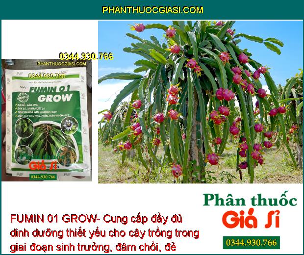 FUMIN 01 GROW- Ra Rễ - Đâm Chồi - Thúc Ra Hoa Sớm - Ra Hoa Đồng Loạt - Tăng Trưởng