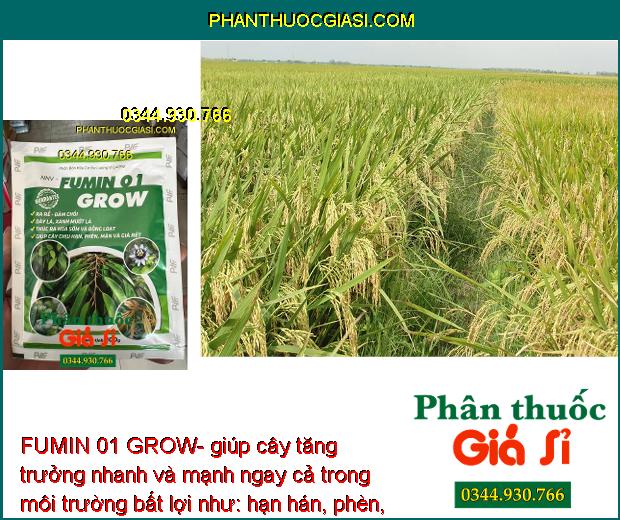 FUMIN 01 GROW- Ra Rễ - Đâm Chồi - Thúc Ra Hoa Sớm - Ra Hoa Đồng Loạt - Tăng Trưởng