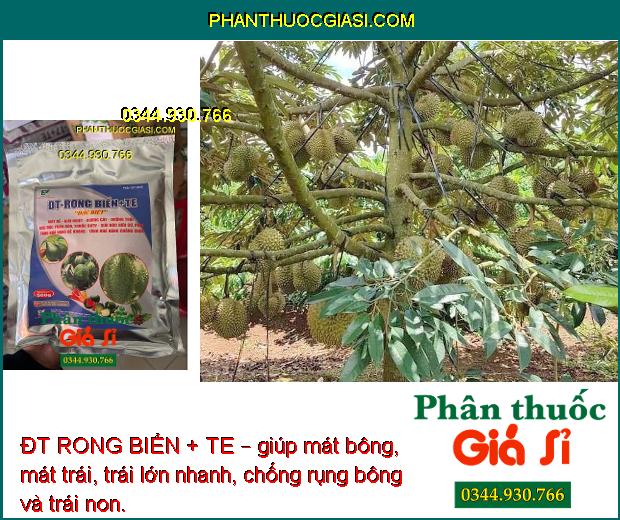 ĐT RONG BIỂN + TE – Tăng Sức Đề Kháng - Rễ Phát Triển - Chống Rụng Bông - Trái Lớn Tối Đa