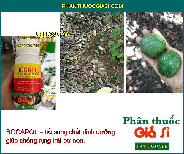 BOCAPOL – Hạn Chế Rụng Hoa Và Trái Non- Chống Nứt Trái- Sượng Trái- Xơ Đen