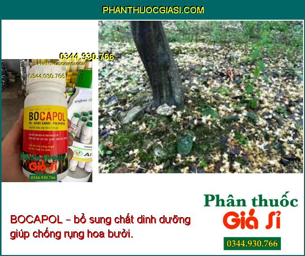 BOCAPOL – Hạn Chế Rụng Hoa Và Trái Non- Chống Nứt Trái- Sượng Trái- Xơ Đen