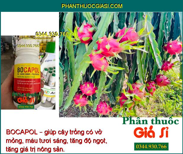 BOCAPOL – Hạn Chế Rụng Hoa Và Trái Non- Chống Nứt Trái- Sượng Trái- Xơ Đen