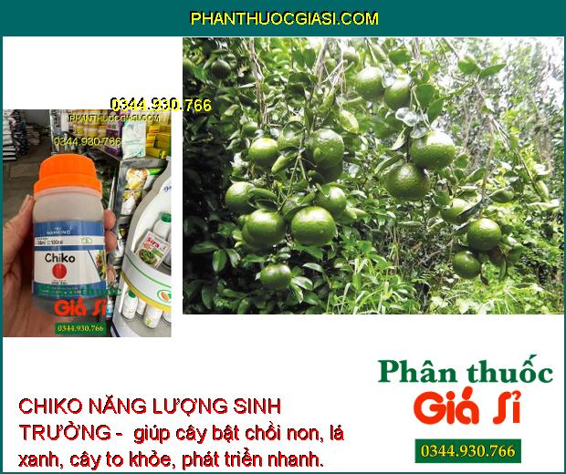 CHIKO NĂNG LƯỢNG SINH TRƯỞNG - Kích Thích Sinh Trưởng - Bật Chồi Non - Lá Xanh Dày - Hạn Chế Thối Rễ - Vàng Lá