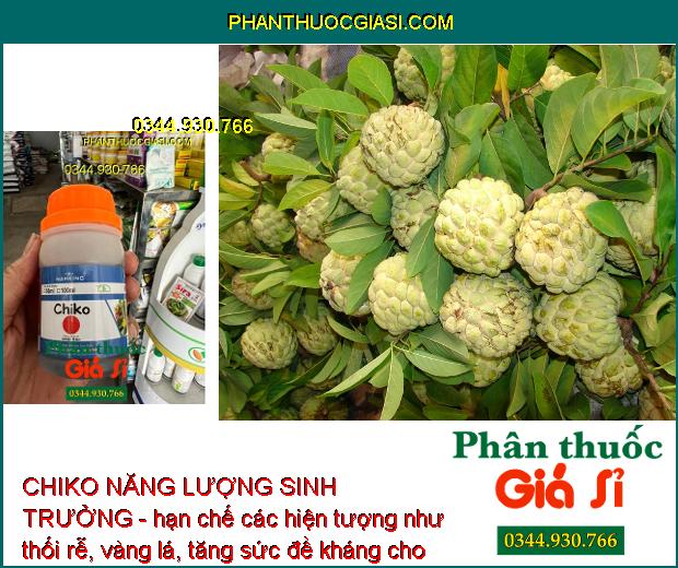 CHIKO NĂNG LƯỢNG SINH TRƯỞNG - Kích Thích Sinh Trưởng - Bật Chồi Non - Lá Xanh Dày - Hạn Chế Thối Rễ - Vàng Lá