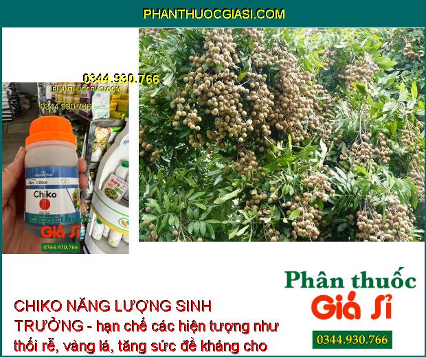 CHIKO NĂNG LƯỢNG SINH TRƯỞNG - Kích Thích Sinh Trưởng - Bật Chồi Non - Lá Xanh Dày - Hạn Chế Thối Rễ - Vàng Lá