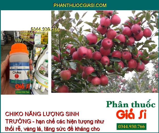 CHIKO NĂNG LƯỢNG SINH TRƯỞNG - Kích Thích Sinh Trưởng - Bật Chồi Non - Lá Xanh Dày - Hạn Chế Thối Rễ - Vàng Lá