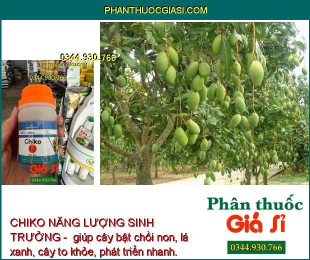 CHIKO NĂNG LƯỢNG SINH TRƯỞNG - Kích Thích Sinh Trưởng - Bật Chồi Non - Lá Xanh Dày - Hạn Chế Thối Rễ - Vàng Lá