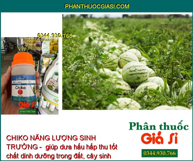 CHIKO NĂNG LƯỢNG SINH TRƯỞNG - Kích Thích Sinh Trưởng - Bật Chồi Non - Lá Xanh Dày - Hạn Chế Thối Rễ - Vàng Lá