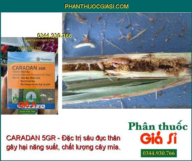 CARADAN 5GR - Đặc Trị Sâu Đục Thân - Bọ Trĩ Hại Lúa - Ấu Trùng Ve Sầu