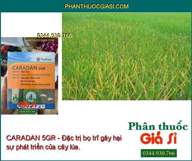 CARADAN 5GR - Đặc Trị Sâu Đục Thân - Bọ Trĩ Hại Lúa - Ấu Trùng Ve Sầu