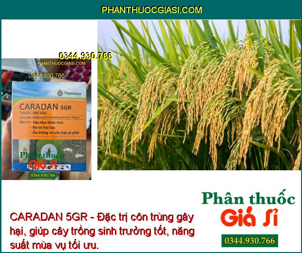 CARADAN 5GR - Đặc Trị Sâu Đục Thân - Bọ Trĩ Hại Lúa - Ấu Trùng Ve Sầu