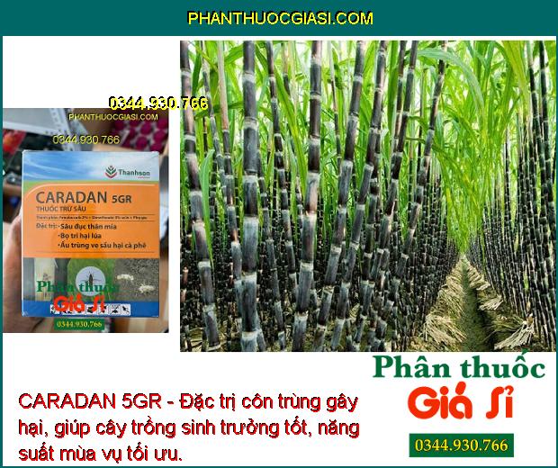 CARADAN 5GR - Đặc Trị Sâu Đục Thân - Bọ Trĩ Hại Lúa - Ấu Trùng Ve Sầu