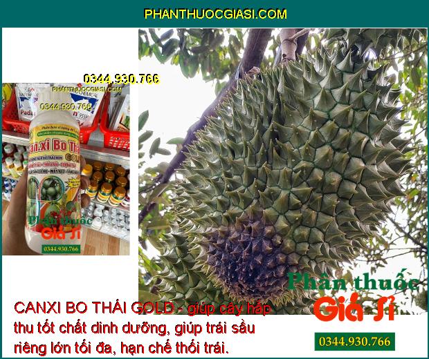 CANXI BO THÁI GOLD - Chống Rụng Hoa Và Trái Non - Nứt Trái - Thối Trái - Lúa Sáng Bông