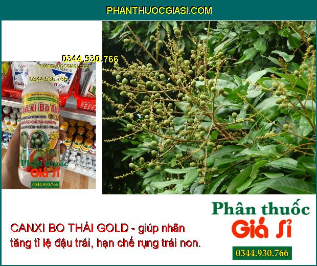 CANXI BO THÁI GOLD - Chống Rụng Hoa Và Trái Non - Nứt Trái - Thối Trái - Lúa Sáng Bông