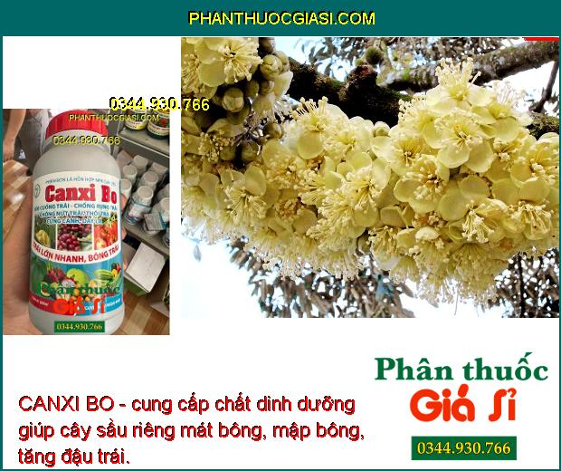 CANXI BO - Mát Bông - Chống Rụng Trái - Nứt Trái - Thối Trái - Cứng Cành - Dày Lá