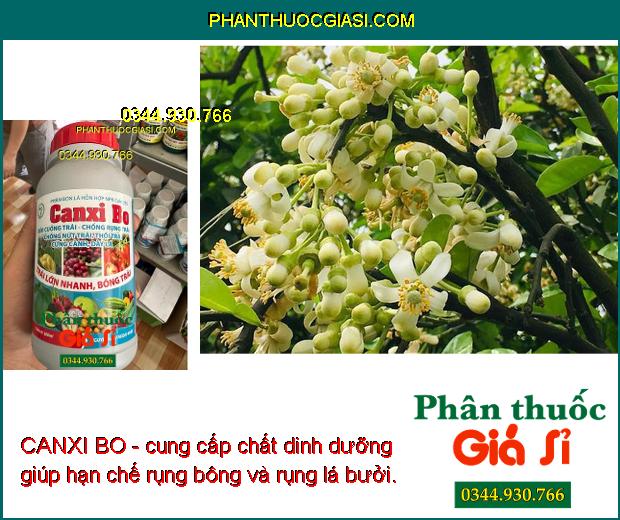 CANXI BO - Mát Bông - Chống Rụng Trái - Nứt Trái - Thối Trái - Cứng Cành - Dày Lá