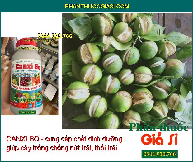 CANXI BO - Mát Bông - Chống Rụng Trái - Nứt Trái - Thối Trái - Cứng Cành - Dày Lá