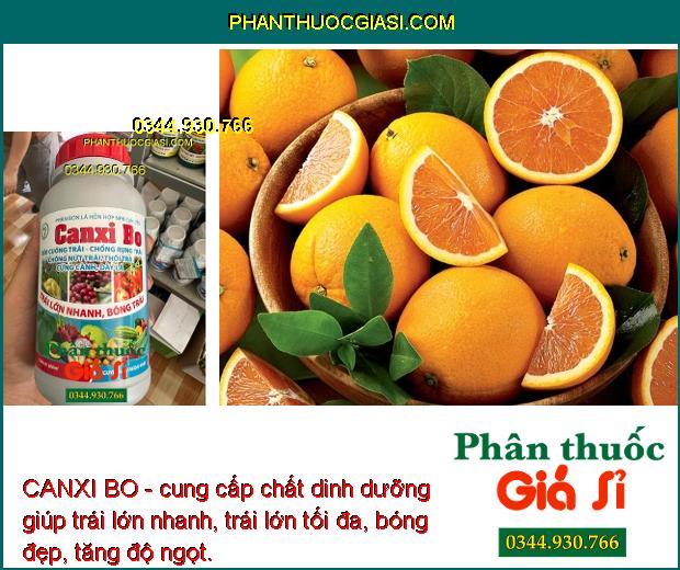 CANXI BO - Mát Bông - Chống Rụng Trái - Nứt Trái - Thối Trái - Cứng Cành - Dày Lá