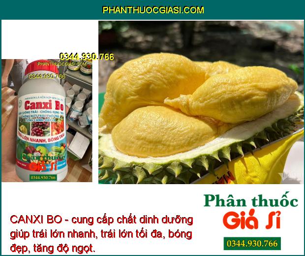 CANXI BO - Mát Bông - Chống Rụng Trái - Nứt Trái - Thối Trái - Cứng Cành - Dày Lá