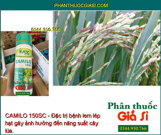 CAMILO 150SC - Đặc trị nấm bệnh gây hại giúp cây sinh trưởng tốt, năng suất vụ mùa tối ưu.