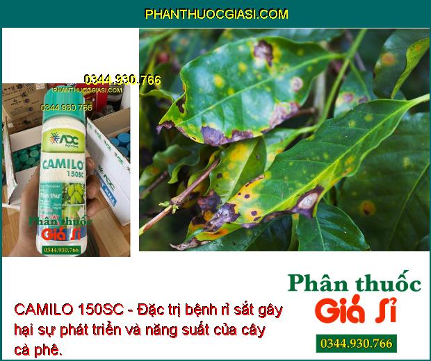 CAMILO 150SC - Đặc trị nấm bệnh gây hại giúp cây sinh trưởng tốt, năng suất vụ mùa tối ưu.