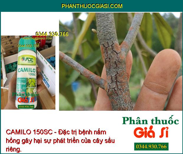 CAMILO 150SC - Đặc trị nấm bệnh gây hại giúp cây sinh trưởng tốt, năng suất vụ mùa tối ưu.