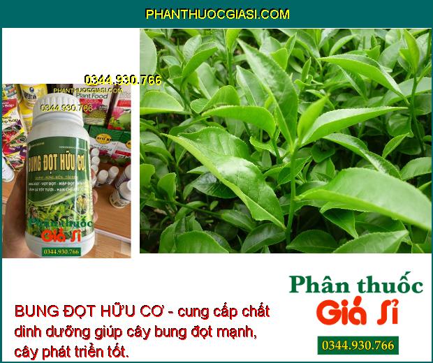 BUNG ĐỌT HỮU CƠ - Bung Đọt - Vọt Đọt - Mập Đọt - Tốt Cành - Xanh Lá - Hạn Chế Sâu - Bệnh