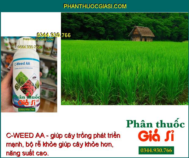 C-WEED AA - giúp cây trồng phát triển mạnh, bộ rễ khỏe giúp cây khỏe hơn, năng suất cao.