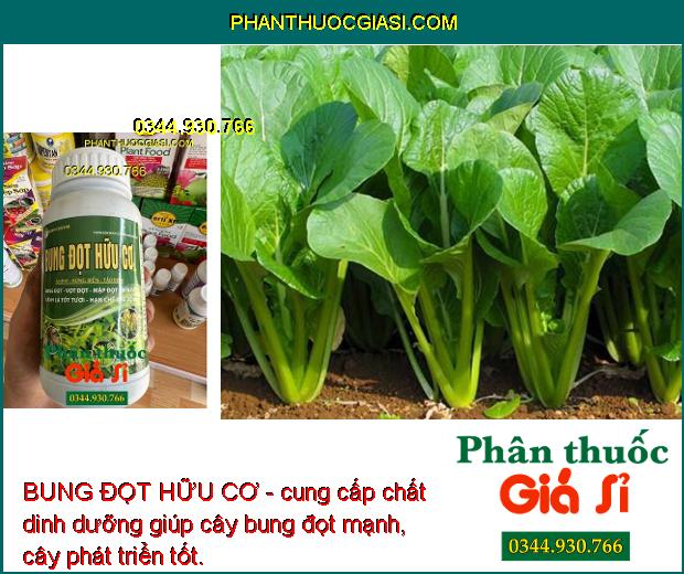 BUNG ĐỌT HỮU CƠ - Bung Đọt - Vọt Đọt - Mập Đọt - Tốt Cành - Xanh Lá - Hạn Chế Sâu - Bệnh