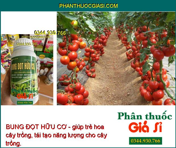 BUNG ĐỌT HỮU CƠ - Bung Đọt - Vọt Đọt - Mập Đọt - Tốt Cành - Xanh Lá - Hạn Chế Sâu - Bệnh