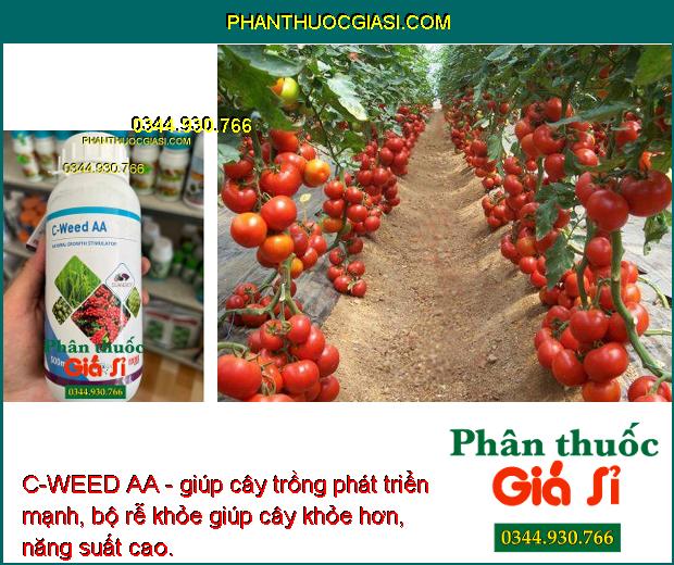 C-WEED AA - giúp cây trồng phát triển mạnh, bộ rễ khỏe giúp cây khỏe hơn, năng suất cao.