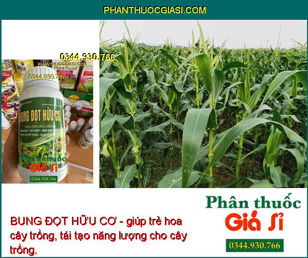 BUNG ĐỌT HỮU CƠ - Bung Đọt - Vọt Đọt - Mập Đọt - Tốt Cành - Xanh Lá - Hạn Chế Sâu - Bệnh