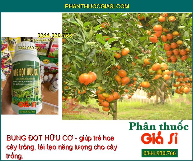 BUNG ĐỌT HỮU CƠ - Bung Đọt - Vọt Đọt - Mập Đọt - Tốt Cành - Xanh Lá - Hạn Chế Sâu - Bệnh