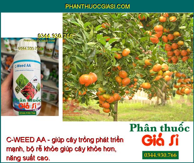 C-WEED AA - giúp cây trồng phát triển mạnh, bộ rễ khỏe giúp cây khỏe hơn, năng suất cao.