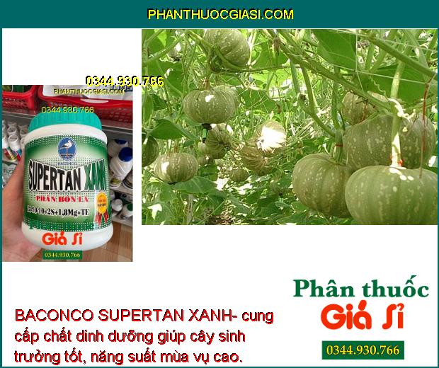 BACONCO SUPERTAN XANH- Bổ Sung Chất Dinh Dưỡng - Phát Triển Thân - Lá- Đâm Tược Nhanh