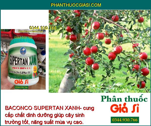 BACONCO SUPERTAN XANH- Bổ Sung Chất Dinh Dưỡng - Phát Triển Thân - Lá- Đâm Tược Nhanh