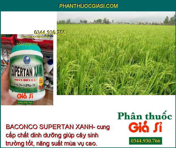 BACONCO SUPERTAN XANH- Bổ Sung Chất Dinh Dưỡng - Phát Triển Thân - Lá- Đâm Tược Nhanh