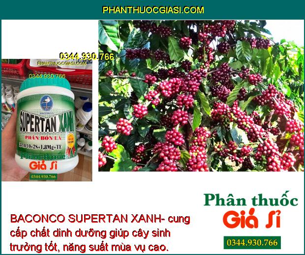 BACONCO SUPERTAN XANH- Bổ Sung Chất Dinh Dưỡng - Phát Triển Thân - Lá- Đâm Tược Nhanh