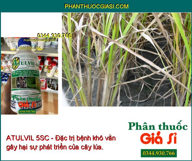 ATULVIL 5SC - Đặc Trị Khô Vằn - Lem Lép Hạt - Rỉ Sắt- Đốm Lá- Nấm Hồng- Phấn Trắng